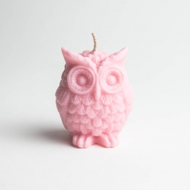 Large Silicone Owl Candle Mould